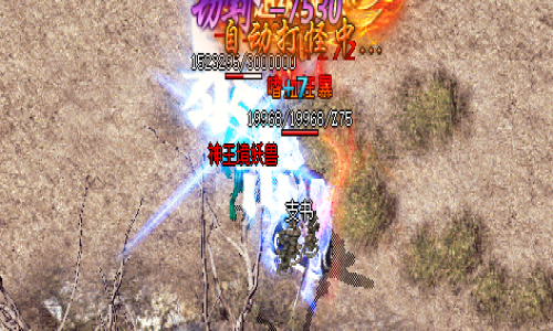 龙之神途：神王境妖兽爆率物品大揭秘